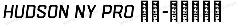 Hudson NY Pro 字体字体转换